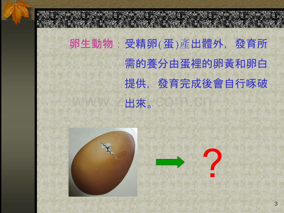 卵生和胎生动物.ppt_第3页