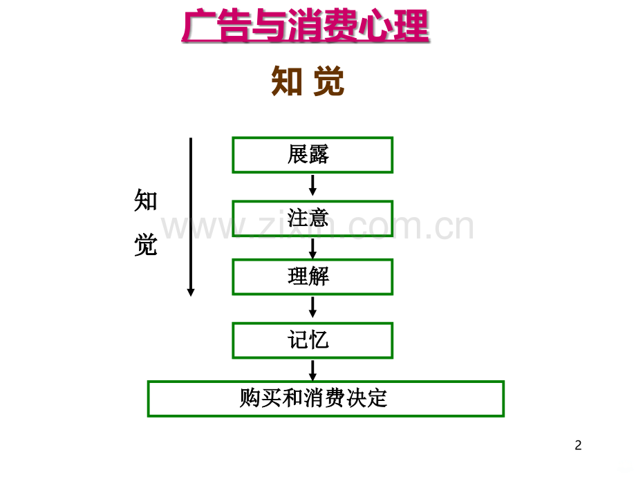 11广告策略.ppt_第2页