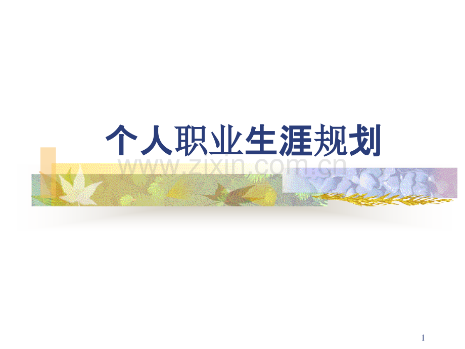 个人职业生涯规划(班组长).ppt_第1页