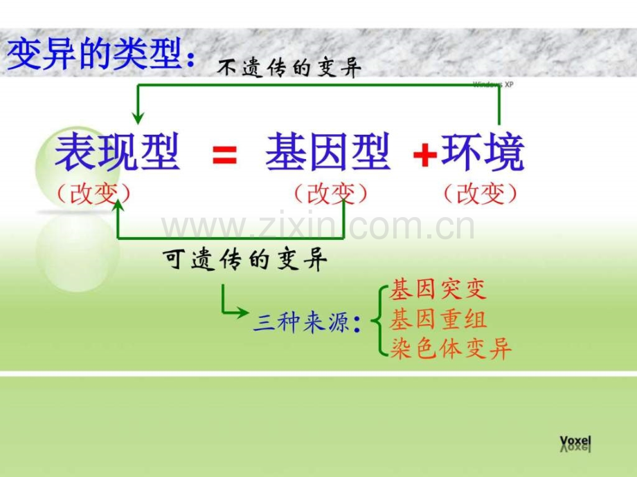 基因突变生物学自然科学专业资料.ppt_第2页