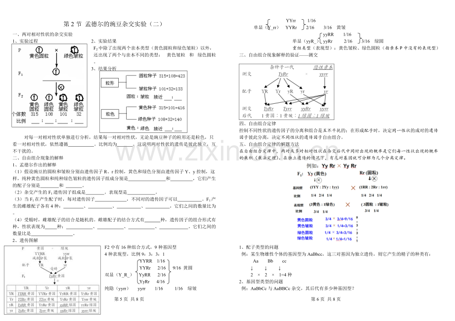 高中生物必修二第一章知识点总结.pdf_第3页