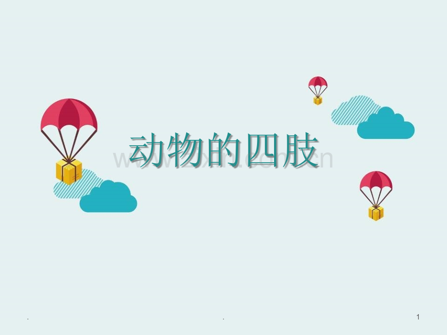 动物的四肢.ppt_第1页