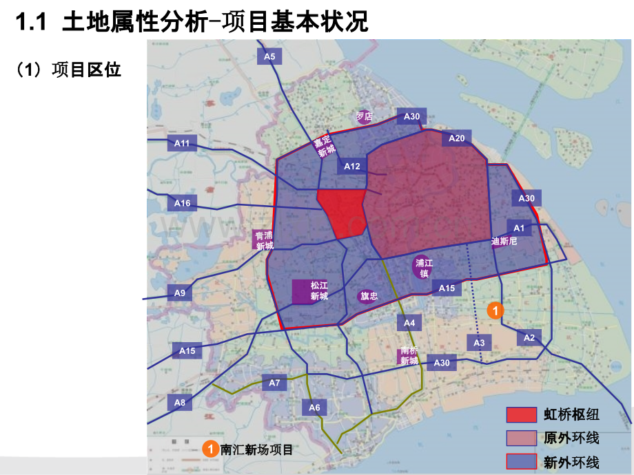 上海浦东南汇新场镇项目决策报告.ppt_第3页