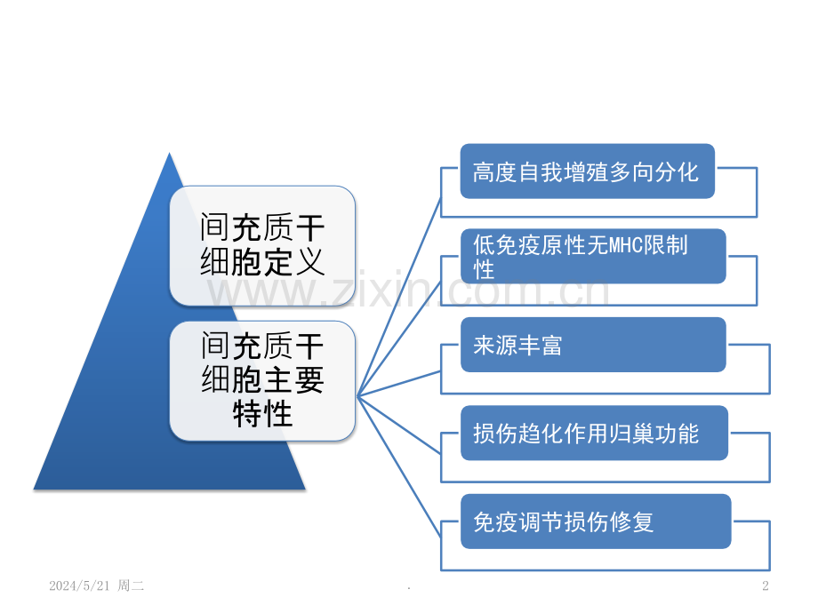 间充质干细胞特性.ppt_第2页