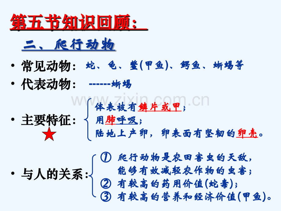 八年级生物上册-5.1.6《鸟》2-(新版)新人教版.ppt_第3页