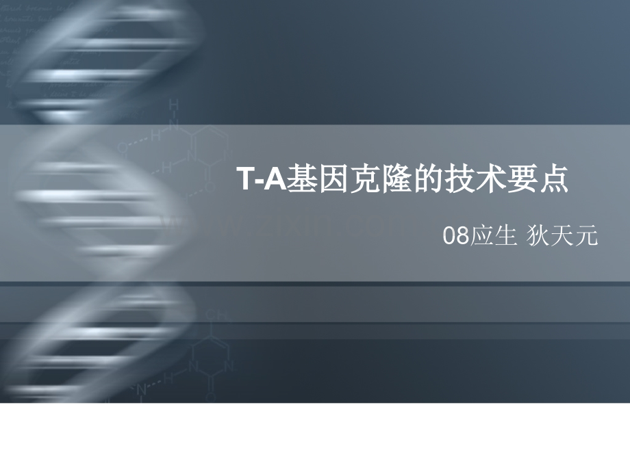 TA基因克隆技术要点.ppt_第1页