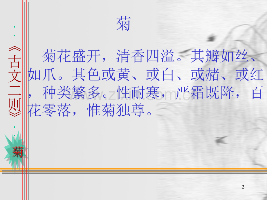 古文--菊.ppt_第2页