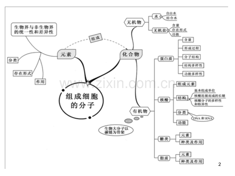 高中生物思维导图.ppt_第2页