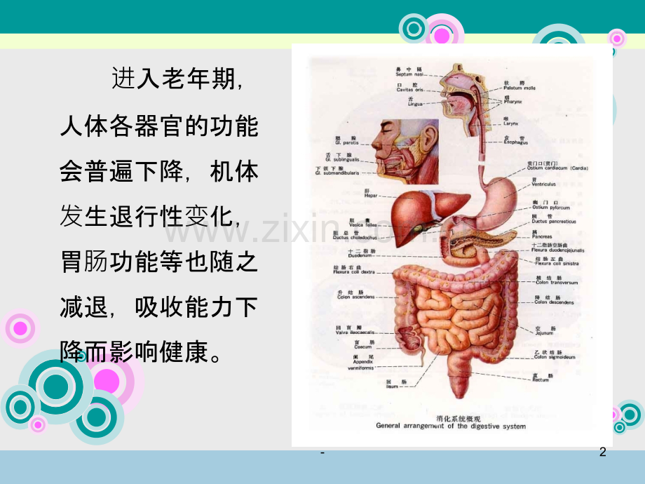 老年人的科学饮食.ppt_第2页