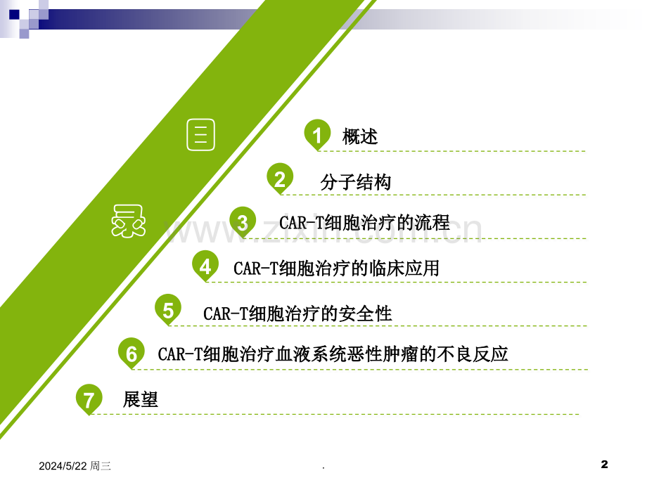 CAR-T细胞治疗.ppt_第2页