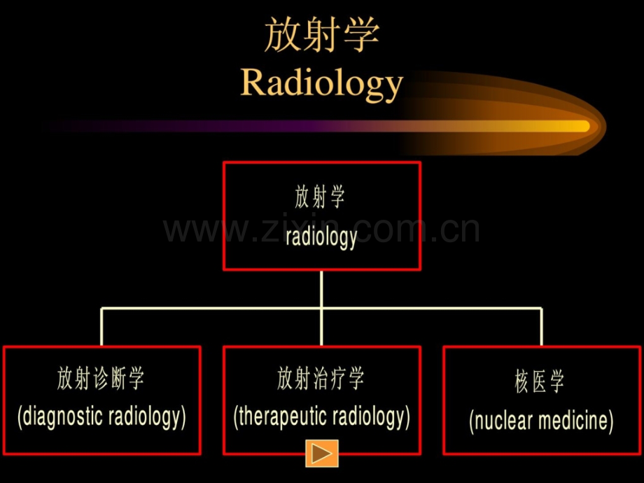 [指南]肿瘤放射治疗学.ppt_第2页