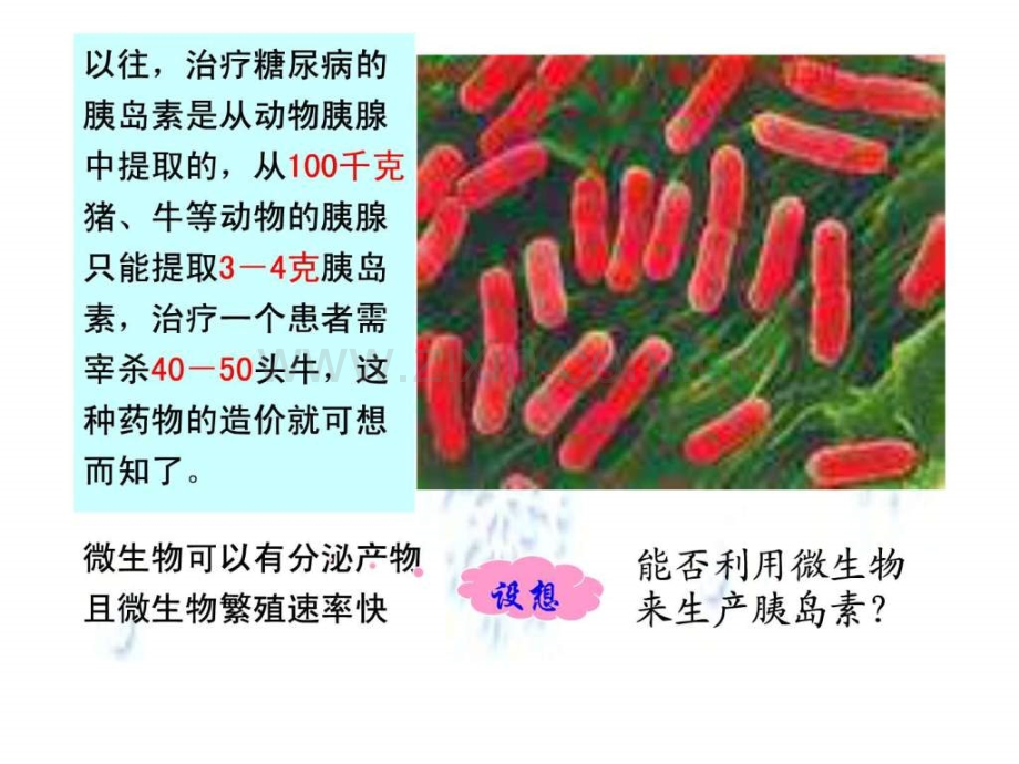 【公开课】基因工程及其应用.ppt_第3页