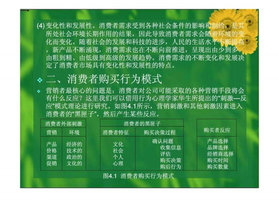 《现代市场营销学》第四章：消费者购买行为分析.ppt_第3页