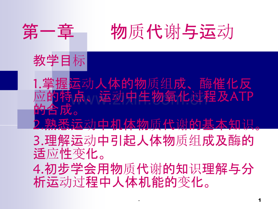 第一章物质代谢与运动概述.ppt_第1页