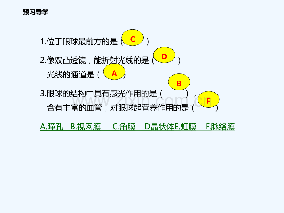 八年级生物上册-6.16.2人体对信息的感知(第1课时)-(新版)苏科版.ppt_第3页