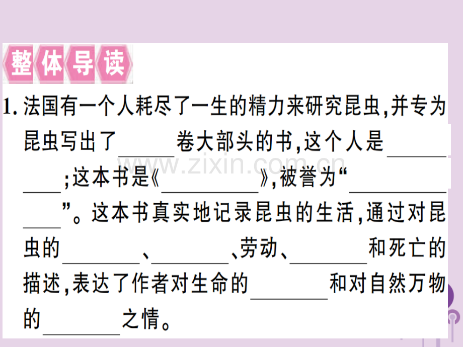 (河南专用)2018年秋八年级语文上册第五单元名著导读《昆虫记》：科普作品的阅读习题.ppt_第2页