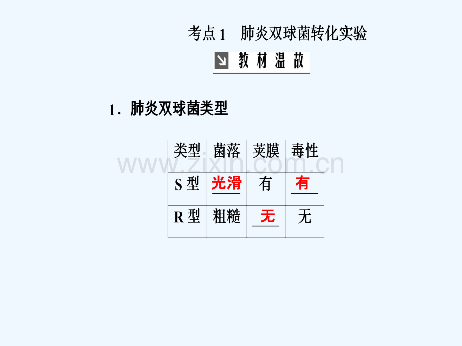 2019版高考生物总复习-第六单元-遗传的分子基础-第1讲-DNA是主要的遗传物质.ppt_第3页