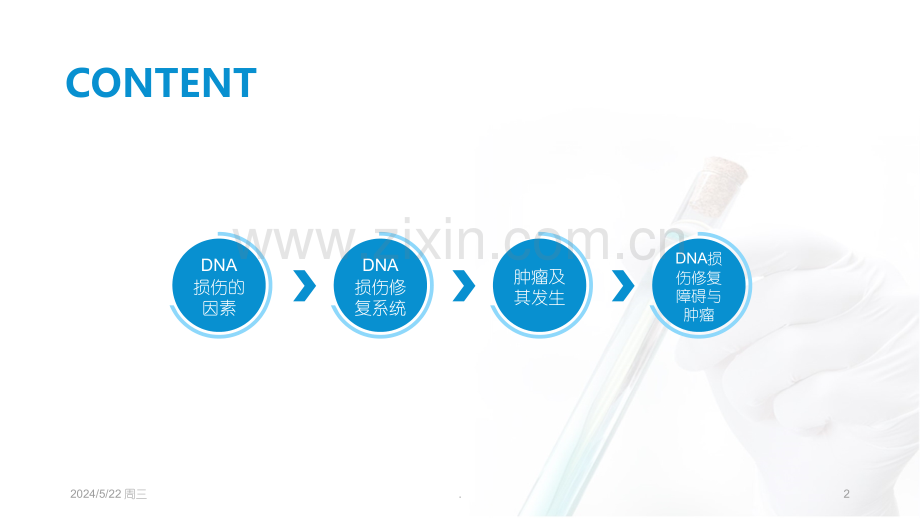 DNA损伤修复与肿瘤.ppt_第2页