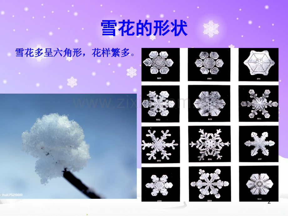 雪的介绍-幼儿园.ppt_第2页