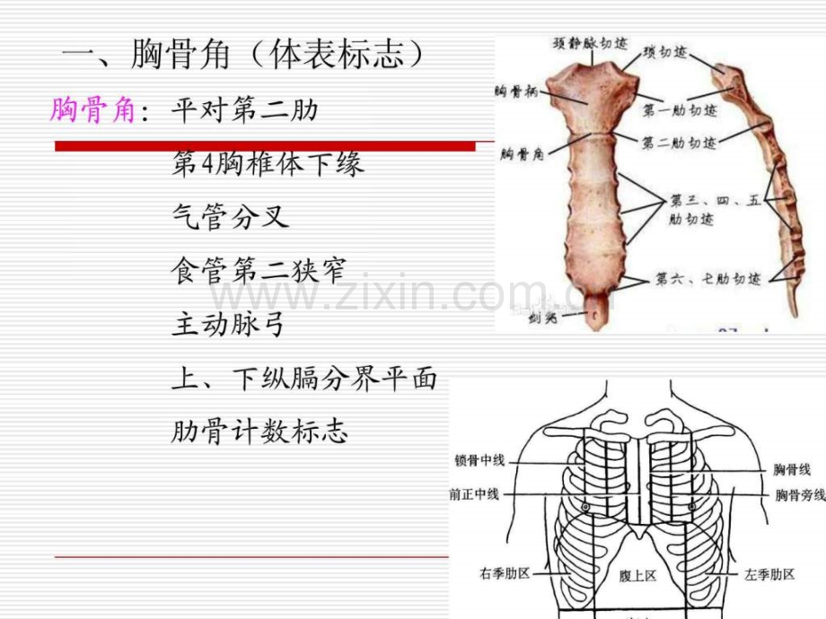 导联心电图检查..ppt_第2页