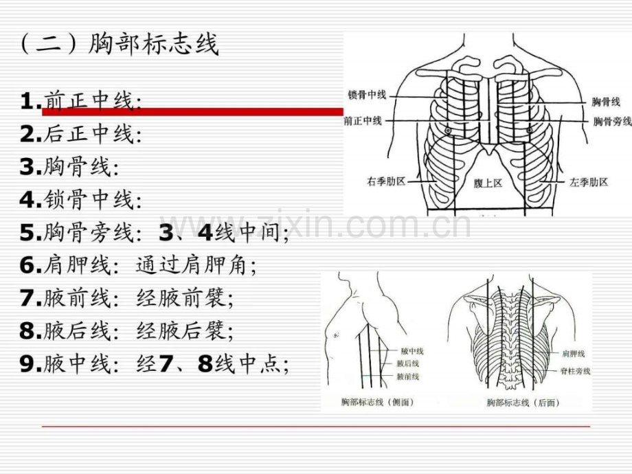 导联心电图检查..ppt_第3页