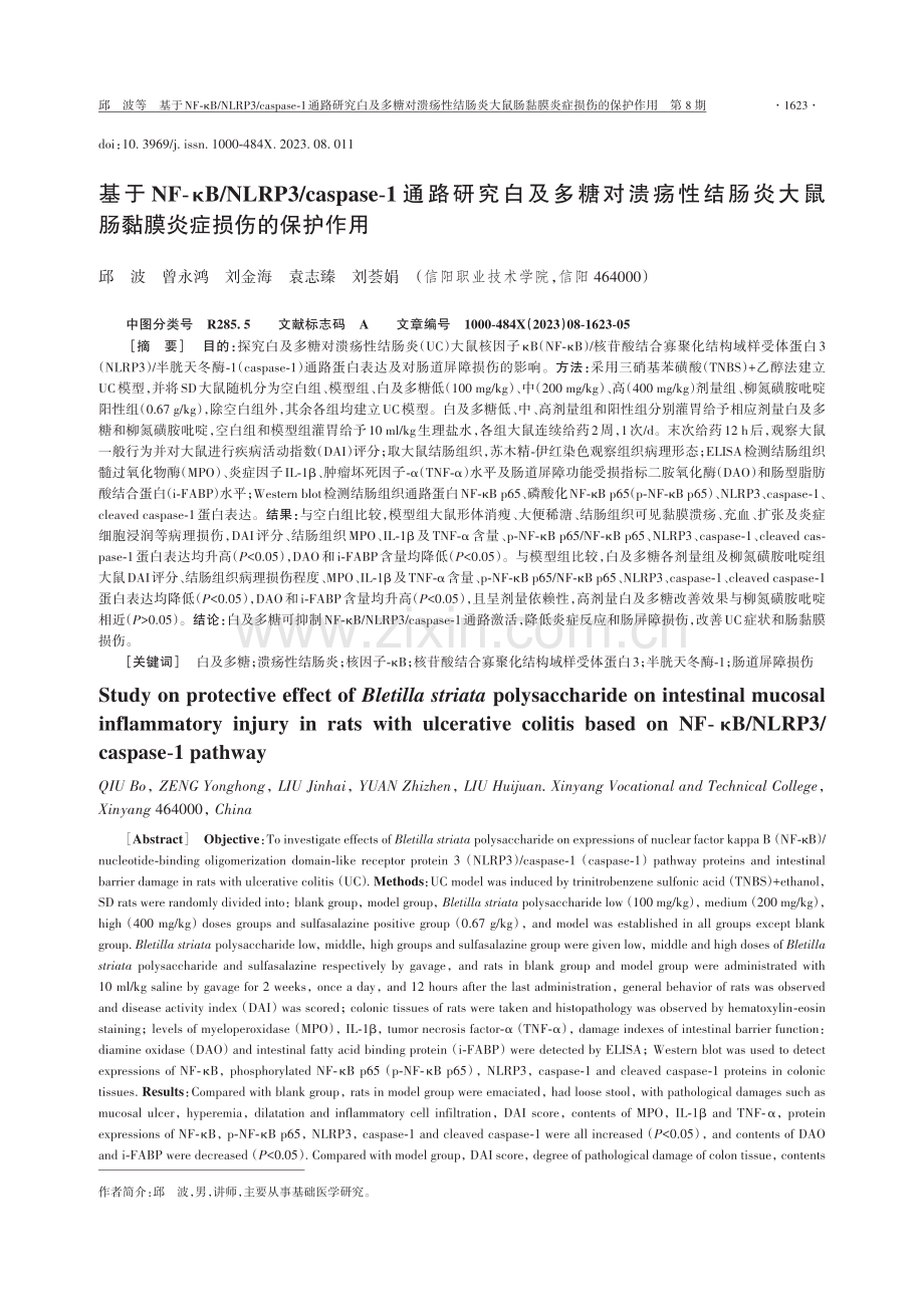 基于NF-κB_NLRP3_caspase-1通路研究白及多糖对溃疡性结肠炎大鼠肠黏膜炎症损伤的保护作用.pdf_第1页