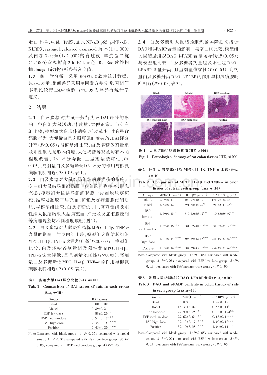 基于NF-κB_NLRP3_caspase-1通路研究白及多糖对溃疡性结肠炎大鼠肠黏膜炎症损伤的保护作用.pdf_第3页