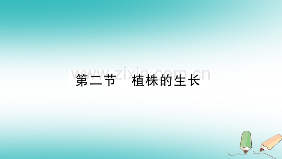 2018秋七年级生物上册-第3单元-第2章-第2节-植株的生长习题优质新人教版.ppt_第1页