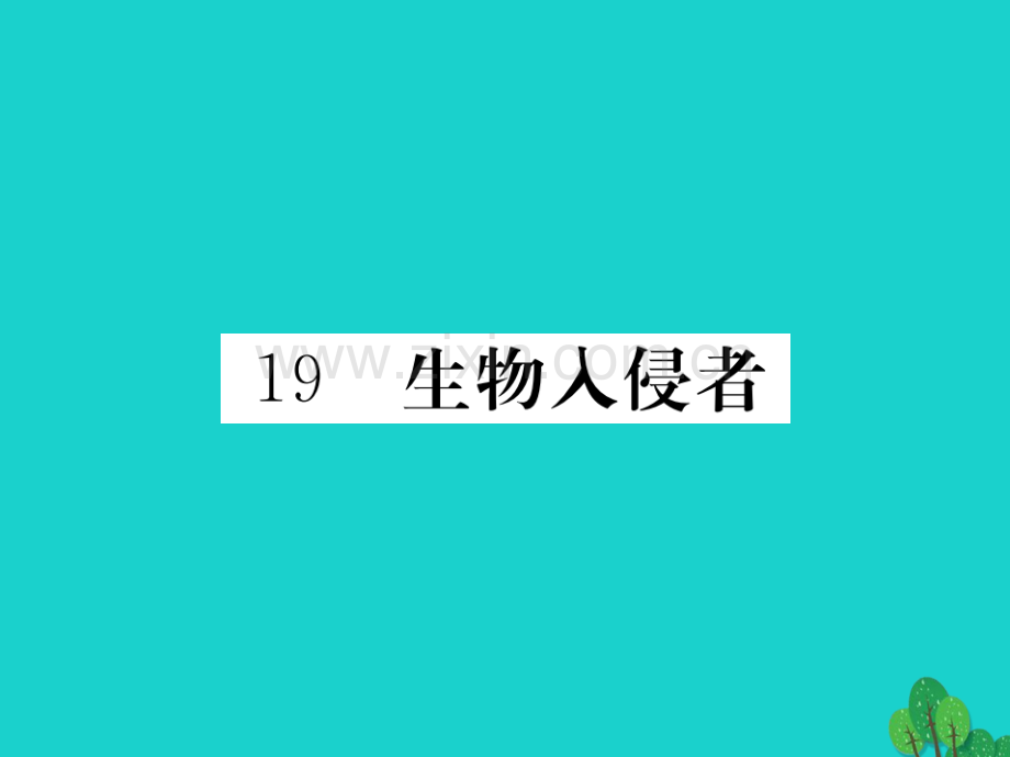 2016秋八年级语文上册-第四单元-19《生物入侵者》新人教版.ppt_第1页