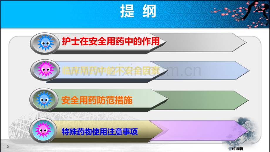 临床用药安全与管理.ppt_第2页