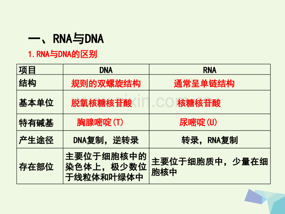 高中生物-第4章-达基因的表达复习-新人教版必修2.ppt_第2页