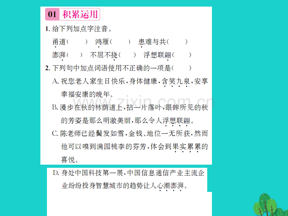 《》2016年秋九年级语文上册-第一单元-3《西花厅的海棠花又开了》语文版.ppt_第2页