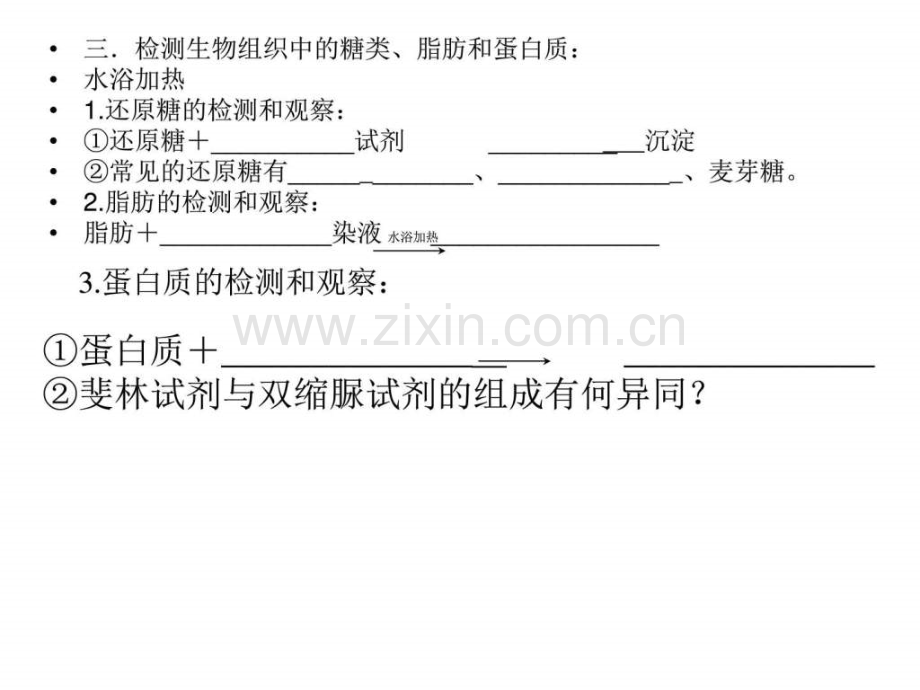 学生自主课堂-21细胞中元素和化合物(共30张)-(1).ppt_第3页