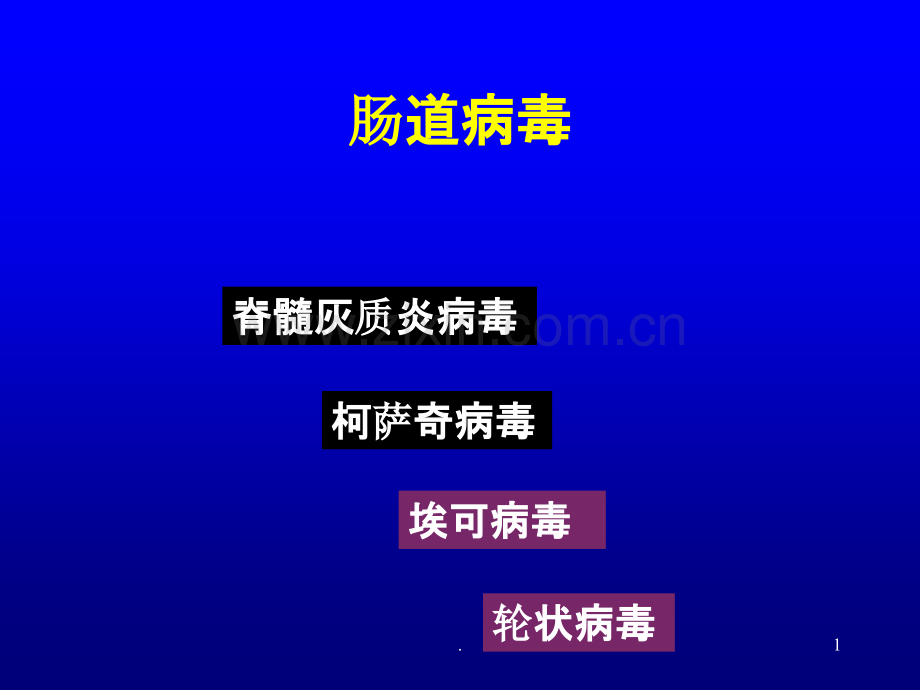 肠道病毒与轮状病毒.ppt_第1页