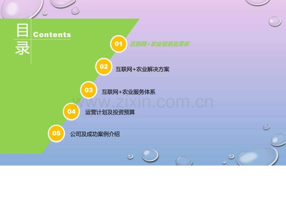 “互联网-农业”背景需求体系预算及整体运营解决方.ppt_第2页