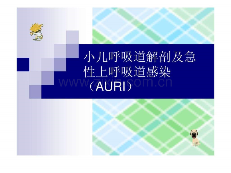 小儿呼吸道解剖及急性上呼吸道感染(AURI)《儿科学》.ppt_第1页