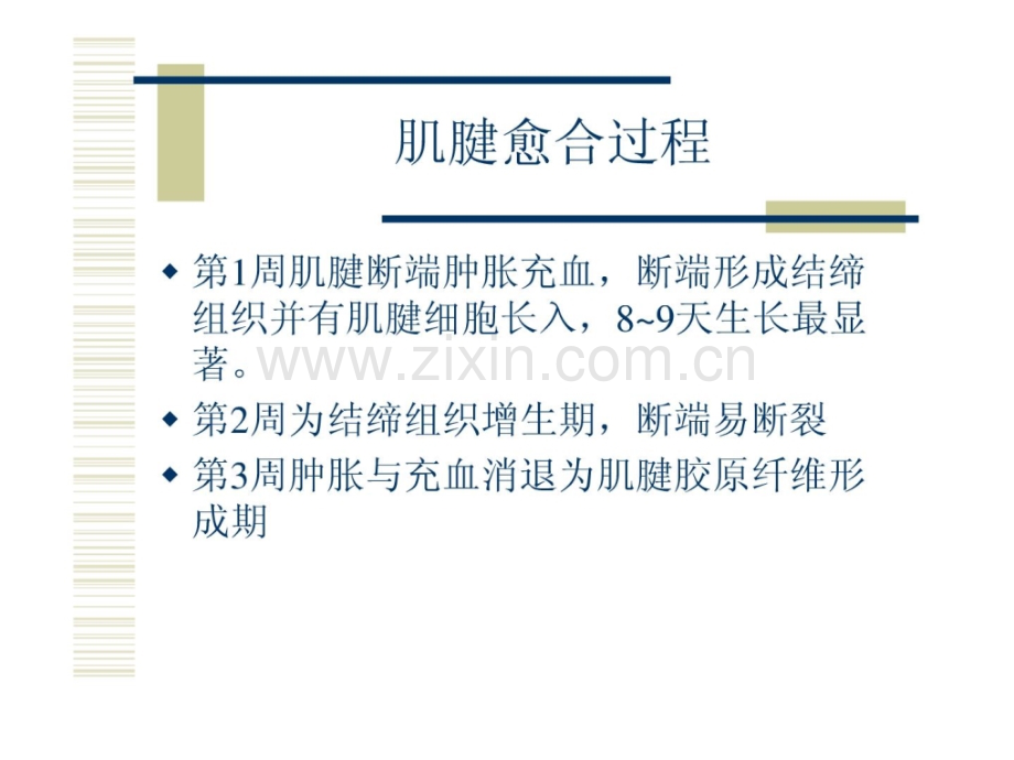 [指南]手外科医学罕见手术术后康复领导.ppt_第2页