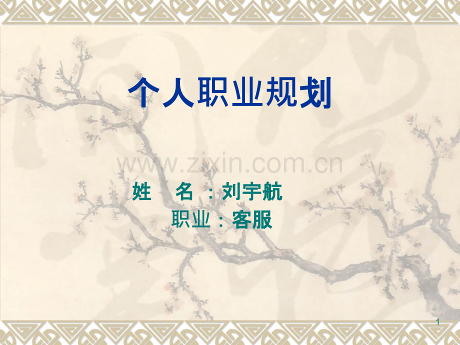 个人职业生涯规划(客服).ppt_第1页