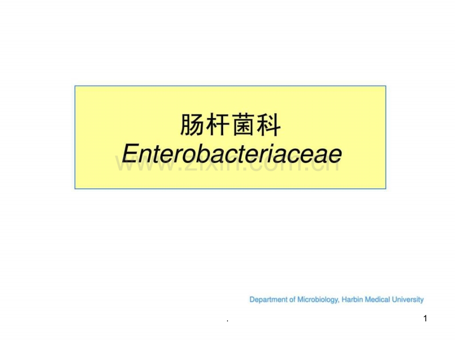 肠杆菌科概述、埃希菌属.ppt_第1页