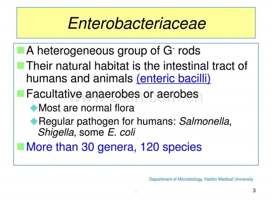 肠杆菌科概述、埃希菌属.ppt_第3页