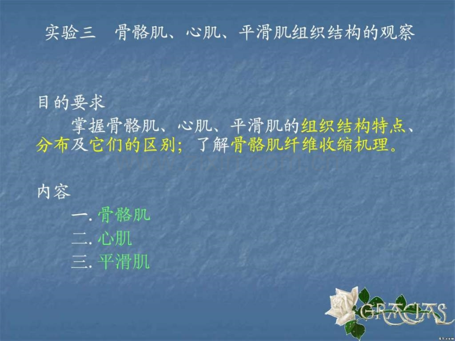 实验三骨骼肌心肌平滑肌构造观察.ppt_第1页