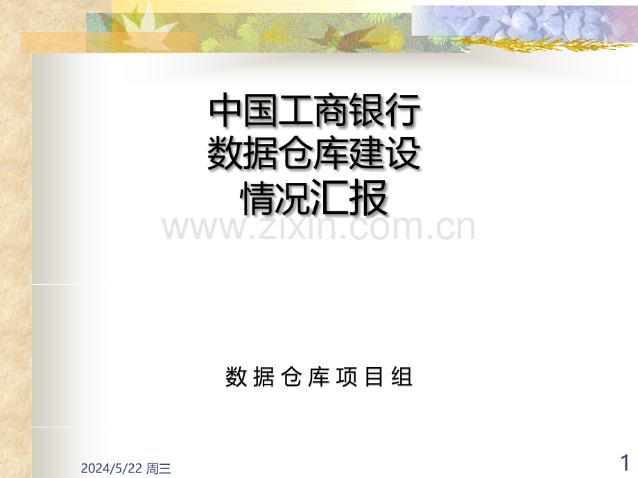 工商银行数据仓库总体设计-demo.ppt_第1页