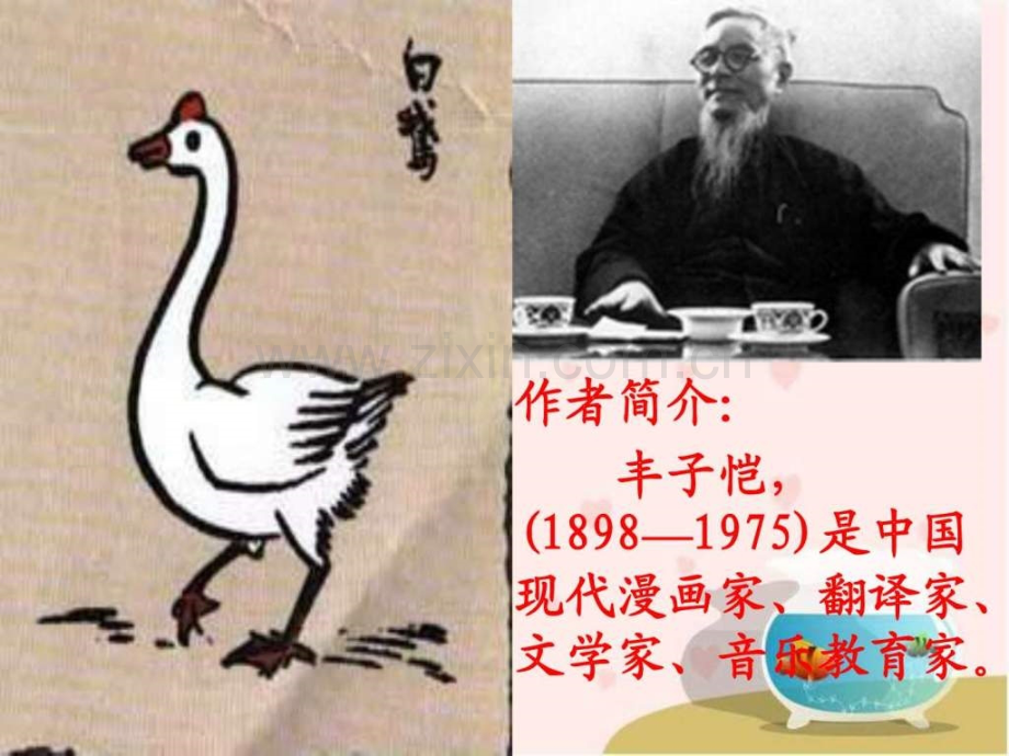 《白鹅》教学演示1465821825.ppt_第3页