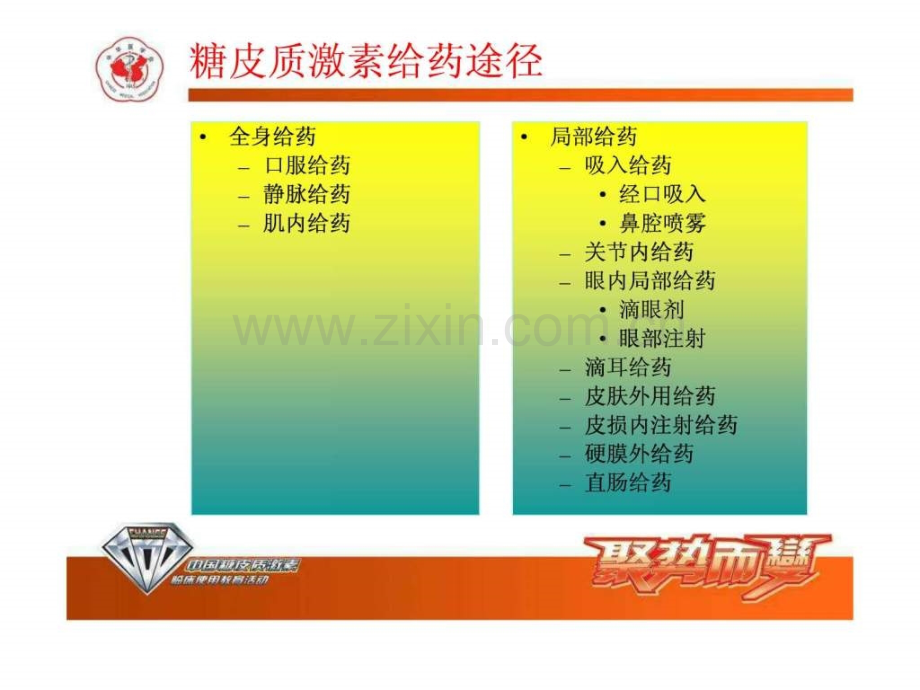 不同糖皮质激素之间区别药剂科.ppt_第2页