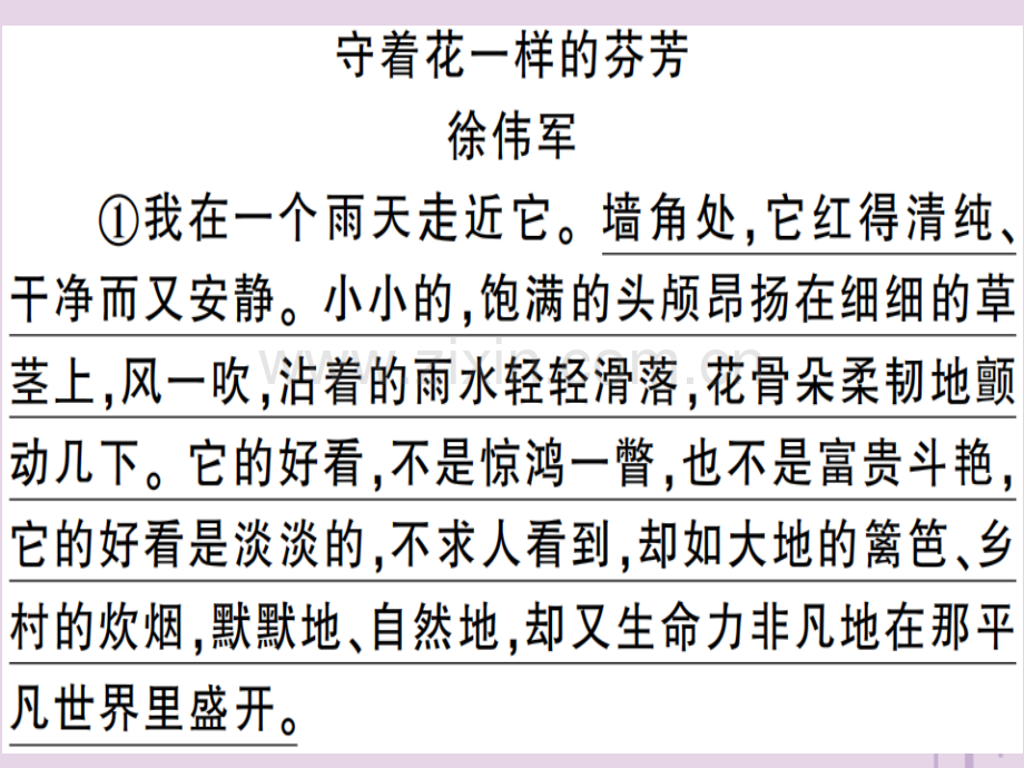 (河南专用)2018年秋八年级语文上册专题十记叙文阅读习题.ppt_第2页