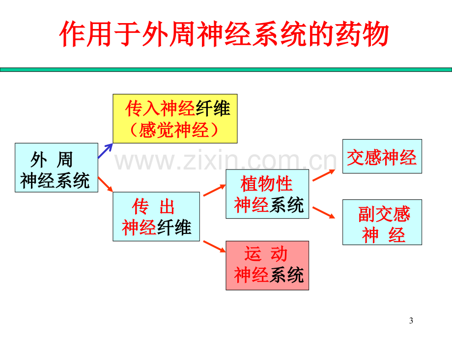 作用于外周神经系统药物.ppt_第3页