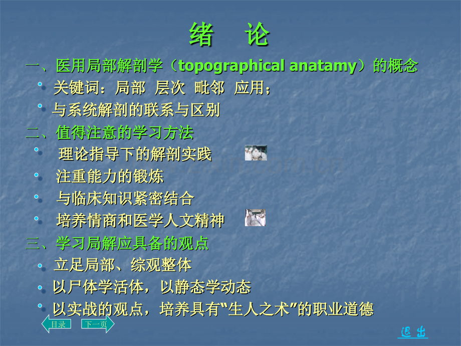 【基础医学】绪论和头部.ppt_第3页