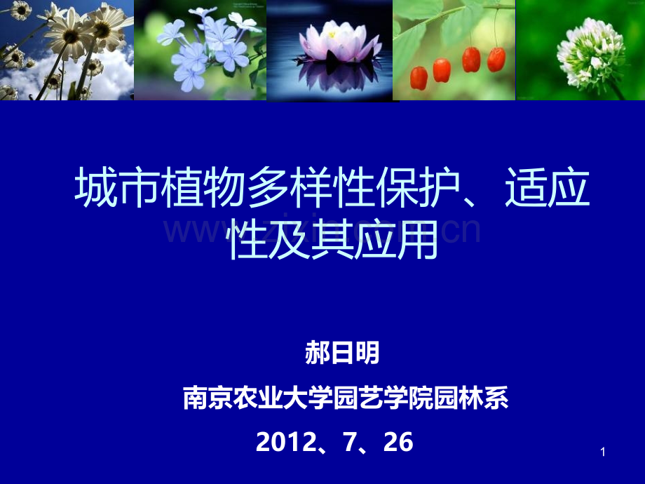 城市植物多样性保护及其园林应用.ppt_第1页