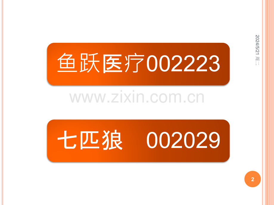 公司分析.pptx_第2页