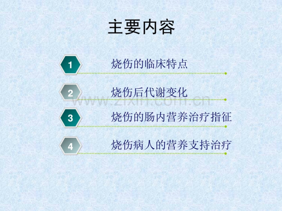 烧伤患者营养支撑治疗.ppt_第2页